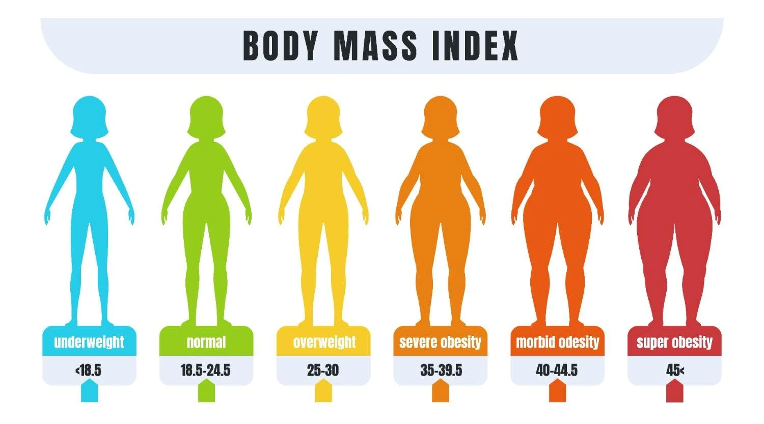 ICD-10 obesity codes and BMI classification chart